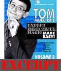 Stern Paper Fold video DOWNLOAD (Excerpt of Mullica Expert Impromptu Magic Made Easy Tom Mullica- #3, DVD)